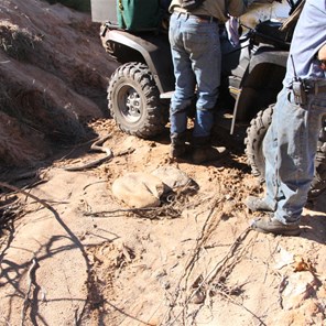 Triple grindstone only 500 metres from camp