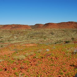 View along the range to the south