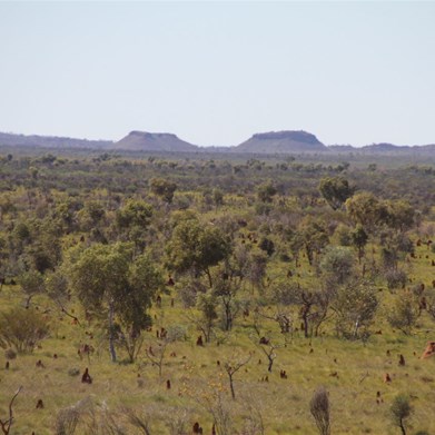 back to the western side of the Stansmores