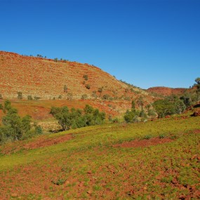One of the larger gorges to the south of Wilson Glen
