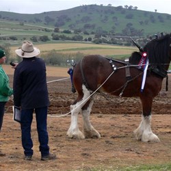 this champion is trained by the young woman on the left.