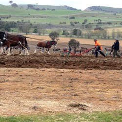 during the record-setting