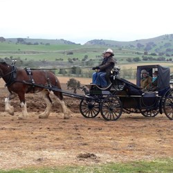 The official party arrives