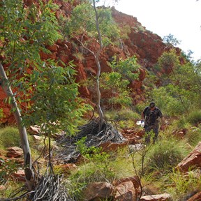 Heading into Cave Gorge