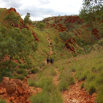 Walking along the Camel Valley path