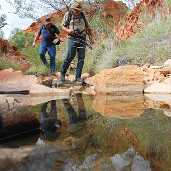 Waterhole in the western end of Camel Valley gorge