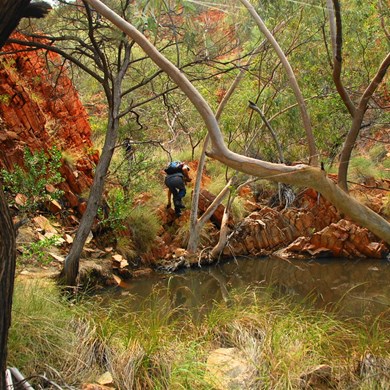 Negotiating some of the waterholes along Camel Valley Gorge