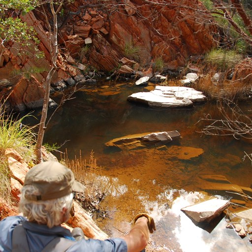 Jaydub and Waterhole