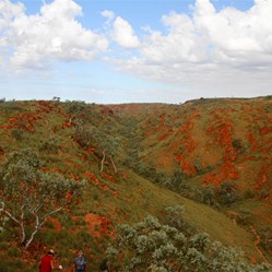 Camel Valley looking east