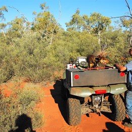 Thick Scrub (and approximate site of a Carnegie camp)