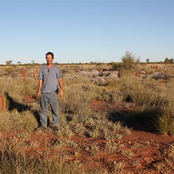 Al at the Dwarf Well site