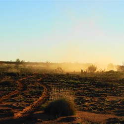 Following the vehicles out to the Road - late afternoon
