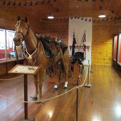 Display dedicated to the Light Horse