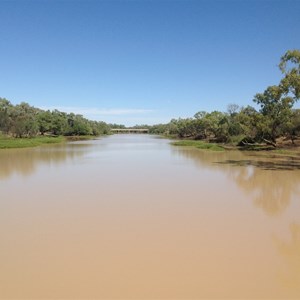 The mighty Thomson River, Longreach