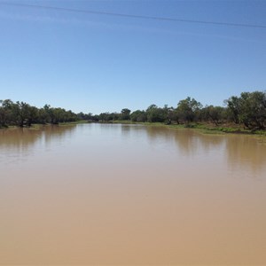 The mighty Thomson River, Longreach