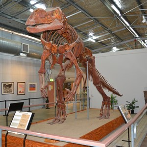 Muttaburrasaurus 