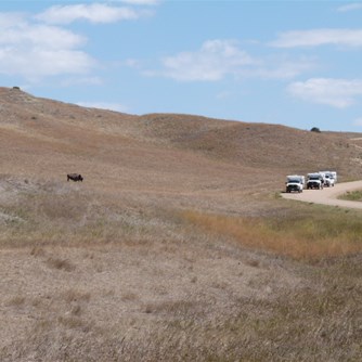 Out on the range (where the deer and the buffalo roam)