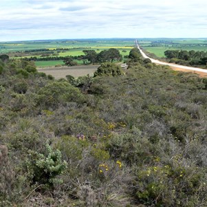 Wide road verges offer good wildflower viewing