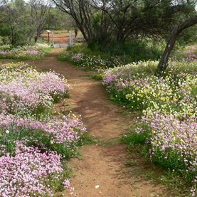 What to look at first?