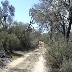 Follow in the wheel tracks of Pioneers on the Holland Track