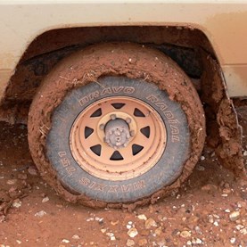 Mud on vehicles will probably contain weed seed