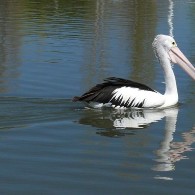 He's about to run out of water!