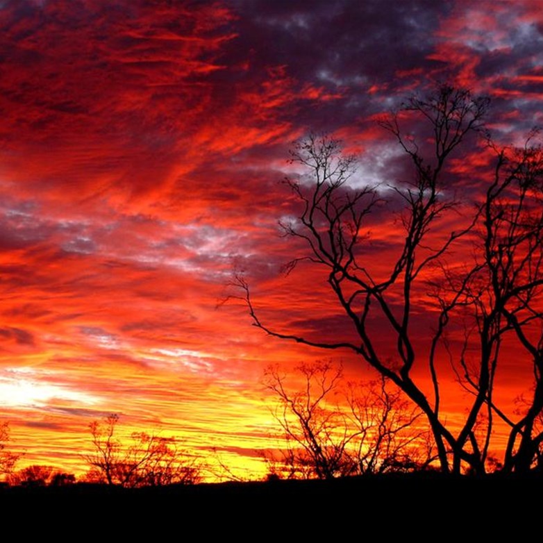 Sunset in the desert