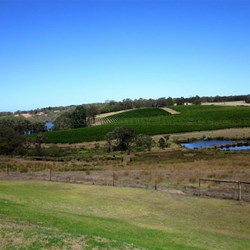 The Kalgan River viewed from Montgomery's Hill Wines