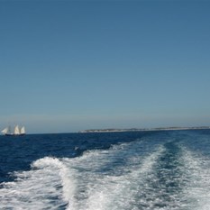 View of Rottnest Island from the back of the Ferry