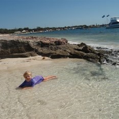 Chardae in rockpools at South Thompson Bay