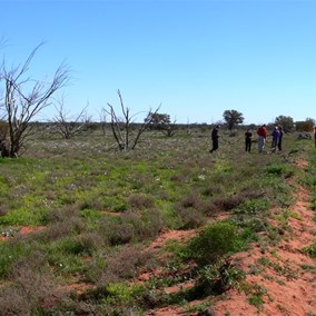 Stopped to smell the flowers