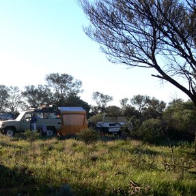Camp near the dog fence