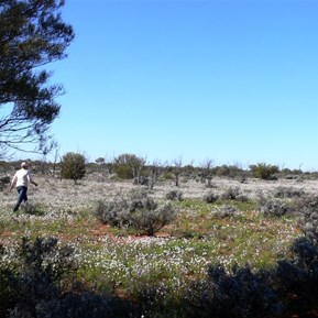 The flowers get even better