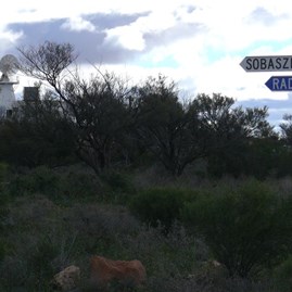 Along the Central Line of Fire