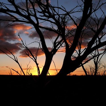 Sunset from the gibber camp