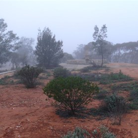 Maralinga swimming pool (now filled in) and fountain in fog