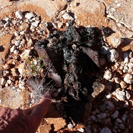 What was left of a tower after the explosion