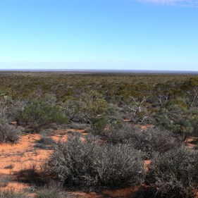 Looking south from the rifle range acroos the Nullarbor Plain