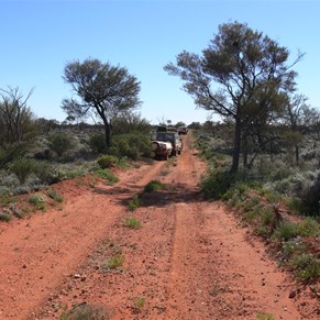 On the track from Maralinga to Emu