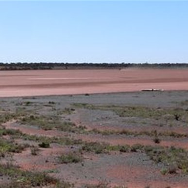Dingo claypan was the landing strip for Emu