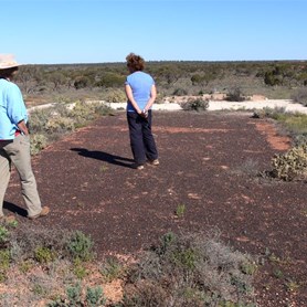 Bases of the accommodation at Emu