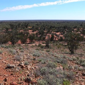 View across the GVD from Observatory Hill