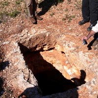 One of the blowholes