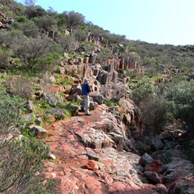 At the Organ Pipes