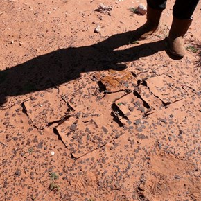 Rusting kerosene tins mark Daisy Bates' campsite