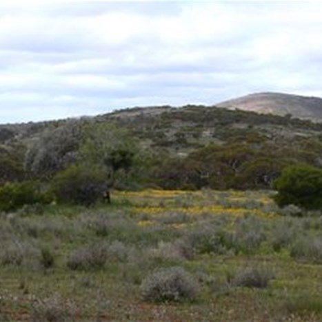 Hills started to appear