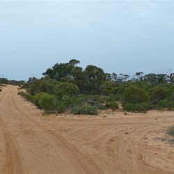 Heading south on Rocket Track