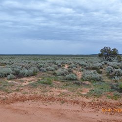 Looking out over Rocket Lake