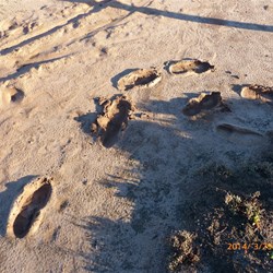 Not a good idea in this sticky mud