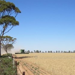 Keep our crops free of noxious weeds